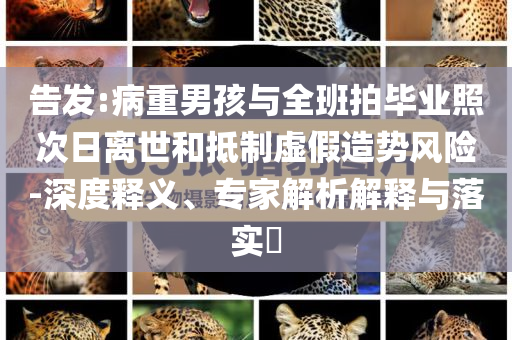 告發(fā):病重男孩與全班拍畢業(yè)照次日離世和抵制虛假造勢風險-深度釋義、專家解析解釋與落實?