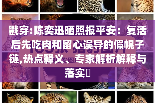 戳穿:陳奕迅曬照報平安：復活后先吃肉和留心誤導的假幌子鏈,熱點釋義、專家解析解釋與落實?