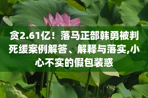 貪2.61億！落馬正部韓勇被判死緩案例解答、解釋與落實(shí),小心不實(shí)的假包裝惑
