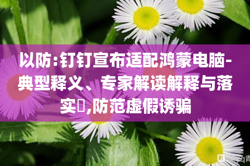 以防:釘釘宣布適配鴻蒙電腦-典型釋義、專家解讀解釋與落實?,防范虛假誘騙