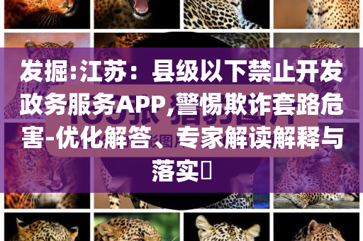 發(fā)掘:江蘇：縣級以下禁止開發(fā)政務(wù)服務(wù)APP,警惕欺詐套路危害-優(yōu)化解答、專家解讀解釋與落實?