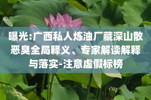曝光:廣西私人煉油廠藏深山散惡臭全局釋義、專家解讀解釋與落實-注意虛假標榜