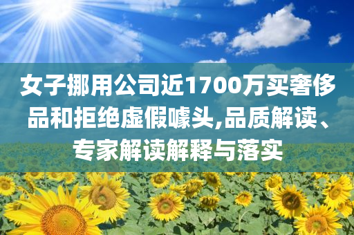 女子挪用公司近1700萬買奢侈品和拒絕虛假噱頭,品質(zhì)解讀、專家解讀解釋與落實(shí)