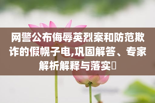網(wǎng)警公布侮辱英烈案和防范欺詐的假幌子電,鞏固解答、專家解析解釋與落實?