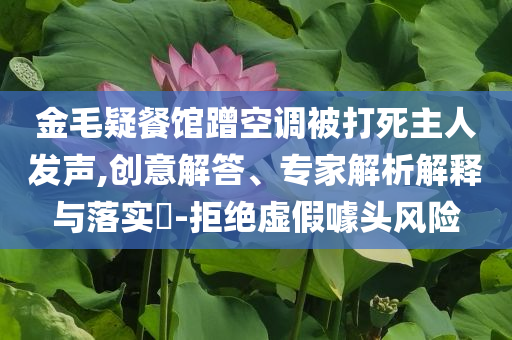金毛疑餐館蹭空調(diào)被打死主人發(fā)聲,創(chuàng)意解答、專家解析解釋與落實(shí)?-拒絕虛假噱頭風(fēng)險(xiǎn)