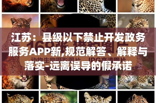 江蘇：縣級(jí)以下禁止開(kāi)發(fā)政務(wù)服務(wù)APP新,規(guī)范解答、解釋與落實(shí)-遠(yuǎn)離誤導(dǎo)的假承諾