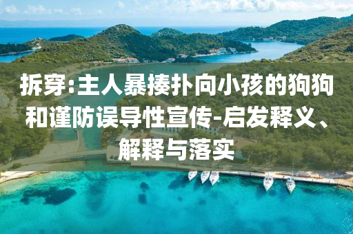 拆穿:主人暴揍撲向小孩的狗狗和謹(jǐn)防誤導(dǎo)性宣傳-啟發(fā)釋義、解釋與落實(shí)