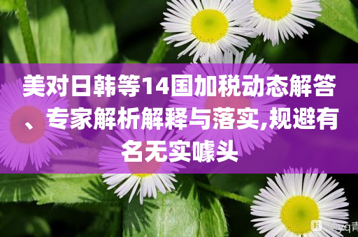 美對(duì)日韓等14國(guó)加稅動(dòng)態(tài)解答、專家解析解釋與落實(shí),規(guī)避有名無實(shí)噱頭