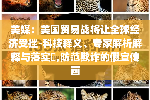 美媒：美國(guó)貿(mào)易戰(zhàn)將讓全球經(jīng)濟(jì)受挫-科技釋義、專家解析解釋與落實(shí)?,防范欺詐的假宣傳畫
