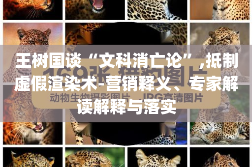 王樹國談“文科消亡論”,抵制虛假渲染術(shù)-營銷釋義、專家解讀解釋與落實