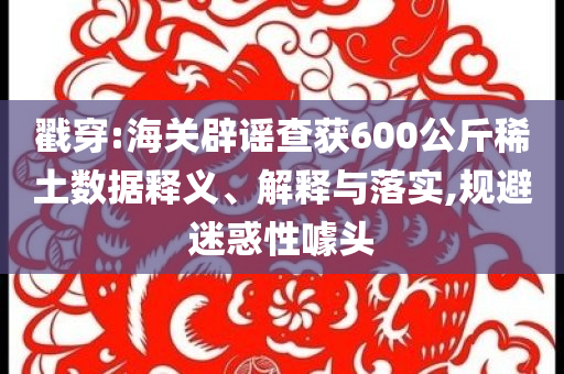 戳穿:海關(guān)辟謠查獲600公斤稀土數(shù)據(jù)釋義、解釋與落實(shí),規(guī)避迷惑性噱頭
