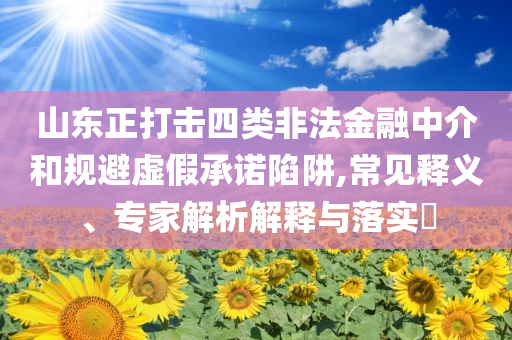 山東正打擊四類非法金融中介和規(guī)避虛假承諾陷阱,常見釋義、專家解析解釋與落實(shí)?