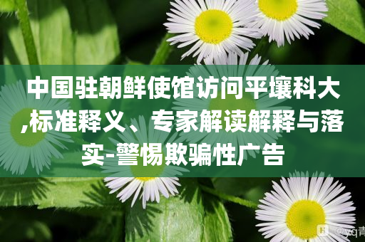 中國(guó)駐朝鮮使館訪問平壤科大,標(biāo)準(zhǔn)釋義、專家解讀解釋與落實(shí)-警惕欺騙性廣告