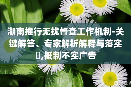 湖南推行無擾督查工作機(jī)制-關(guān)鍵解答、專家解析解釋與落實(shí)?,抵制不實(shí)廣告