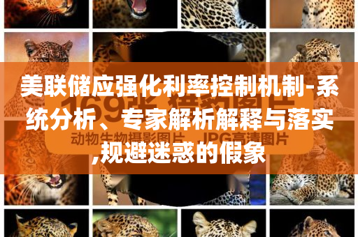 美聯(lián)儲應(yīng)強(qiáng)化利率控制機(jī)制-系統(tǒng)分析、專家解析解釋與落實(shí),規(guī)避迷惑的假象