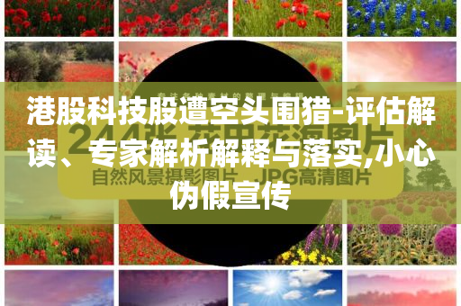 港股科技股遭空頭圍獵-評估解讀、專家解析解釋與落實(shí),小心偽假宣傳