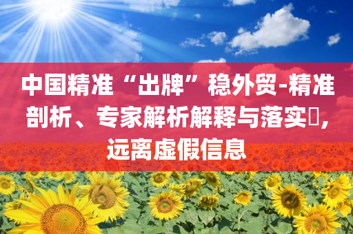 中國精準(zhǔn)“出牌”穩(wěn)外貿(mào)-精準(zhǔn)剖析、專家解析解釋與落實?,遠(yuǎn)離虛假信息