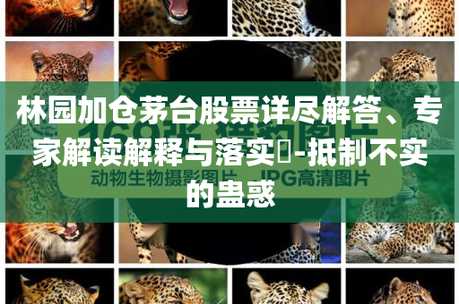 林園加倉茅臺(tái)股票詳盡解答、專家解讀解釋與落實(shí)?-抵制不實(shí)的蠱惑