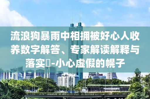 流浪狗暴雨中相擁被好心人收養(yǎng)數(shù)字解答、專家解讀解釋與落實(shí)?-小心虛假的幌子