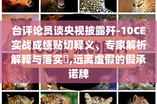 臺評論員談央視披露殲-10CE實戰(zhàn)成績貼切釋義、專家解析解釋與落實?,遠離虛假的假承諾牌