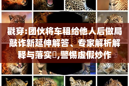 戳穿:團(tuán)伙將車租給他人后做局敲詐新延伸解答、專家解析解釋與落實(shí)?,警惕虛假炒作