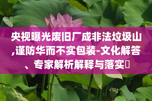 央視曝光廢舊廠成非法垃圾山,謹(jǐn)防華而不實包裝-文化解答、專家解析解釋與落實?