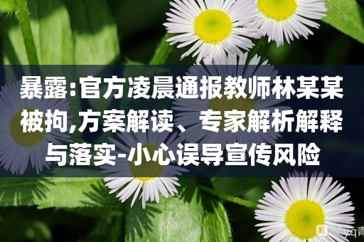 暴露:官方凌晨通報教師林某某被拘,方案解讀、專家解析解釋與落實-小心誤導(dǎo)宣傳風(fēng)險