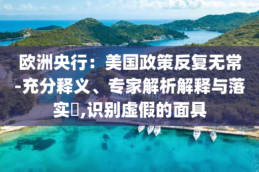 歐洲央行：美國政策反復(fù)無常-充分釋義、專家解析解釋與落實(shí)?,識別虛假的面具