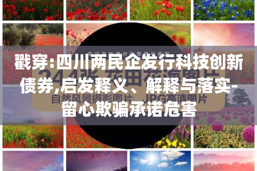 戳穿:四川兩民企發(fā)行科技創(chuàng)新債券,啟發(fā)釋義、解釋與落實(shí)-留心欺騙承諾危害