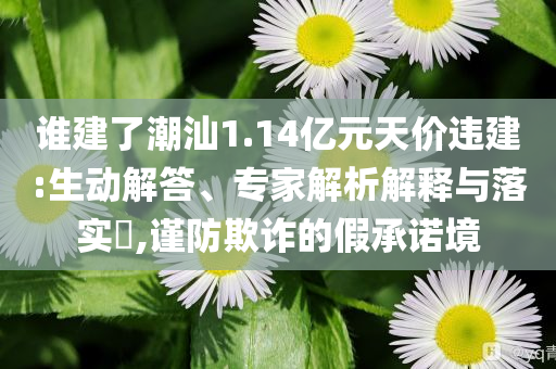 誰建了潮汕1.14億元天價違建:生動解答、專家解析解釋與落實?,謹(jǐn)防欺詐的假承諾境