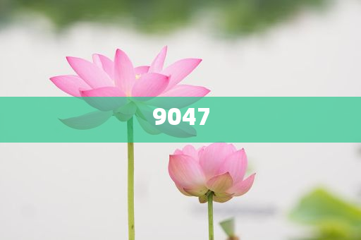 魏建軍稱35歲不應(yīng)該是終點(diǎn),拒絕虛假推銷阱-效率解讀、專家解析解釋與落實(shí)