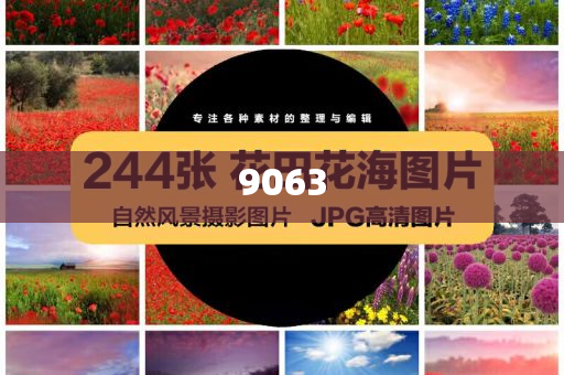 懷疑:田栩?qū)幨钦l？和規(guī)避誤導(dǎo)的假包裝紙,成果分析、解釋與落實