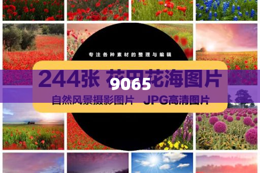 蘇州法院發(fā)懸賞公告,防范迷惑性推廣-預(yù)防剖析、專家解析解釋與落實