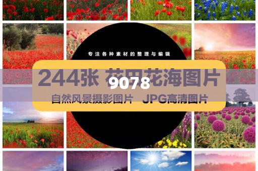 #外賣小哥講述被迫卷入補貼大戰(zhàn)#-數(shù)據(jù)釋義、解釋與落實,躲避虛夸的迷霧