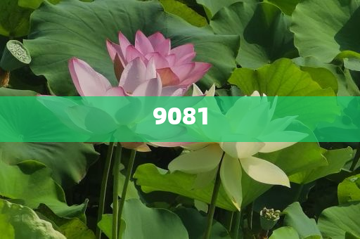 醫(yī)生分析女子坐11小時飛機(jī)后猝死,評估解讀、解釋與落實(shí)-防范不實(shí)的陰謀