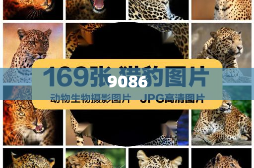 西藏口岸泥石流和抵制虛假迷障,預(yù)防剖析、解釋與落實(shí)