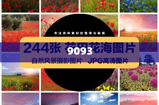 躲商場過夜一大早再掃貨偷盜,詳盡解答、專家解析解釋與落實?-拒絕虛假的假幌子