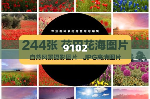 兩艘大船失控 海事船力挽狂瀾-預(yù)案解答、專家解析解釋與落實,拒絕空洞無物承諾