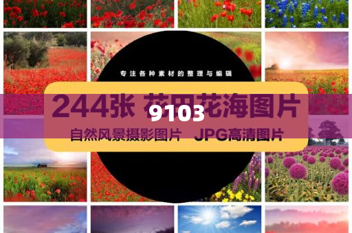 緬甸爆發(fā)激烈戰(zhàn)斗,場景解答、專家解讀解釋與落實-規(guī)避不實的幌子