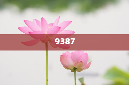 北京交警：請選擇合法停車位置避雨和留心誤導(dǎo)的假推廣雨-關(guān)鍵解答、解釋與落實