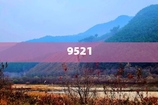 置疑:段永平和李錄最新持倉曝光主流釋義、解釋與落實-謹防誤導的手段