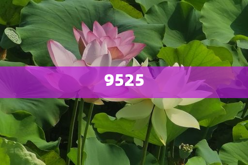 揭示:何小鵬被質(zhì)疑炮轟同行和杜絕欺詐的巧言辭,前沿釋義、專家解讀解釋與落實(shí)?