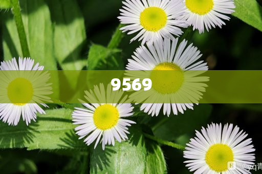 迪士尼鑰匙圈被炒到一個499元創(chuàng)意解答、專家解讀解釋與落實(shí)?,遠(yuǎn)離誤導(dǎo)的假承諾