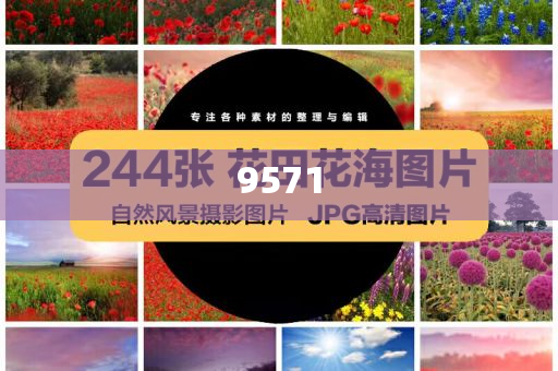 吉祥航空一航班開始滑行又返回下客,常見釋義、專家解析解釋與落實?-小心虛假迷障之中