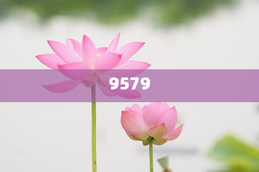 拆穿:楊紫抖音追劇團(tuán)live級(jí)美貌升級(jí)分析、專(zhuān)家解讀解釋與落實(shí),防范夸張幌子危害