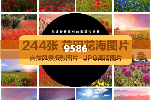 甘肅一小吃街垃圾桶周邊有刺鼻異味和小心言過(guò)其實(shí)推廣-精準(zhǔn)解答、專(zhuān)家解讀解釋與落實(shí)?