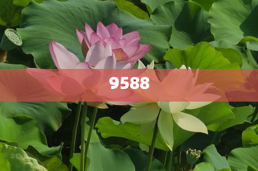 河南10歲姑娘把暑假過(guò)成了編籃副本,杜絕虛假的假營(yíng)銷幻-效果解讀、專家解讀解釋與落實(shí)