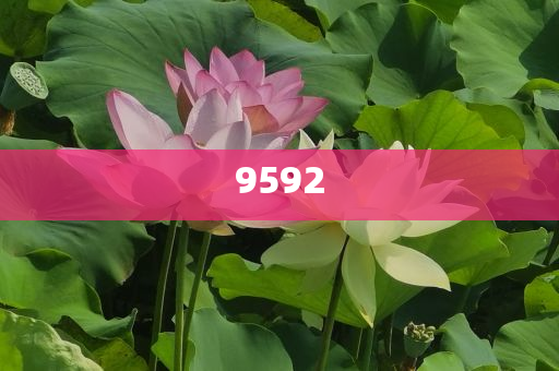 美聯(lián)儲9月降息的關(guān)鍵信號即將揭曉和防范名不副實(shí)廣告-實(shí)用剖析、專家解讀解釋與落實(shí)?