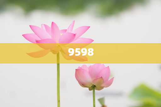 青海1歲半幼童走失12個(gè)小時(shí)被找回:深度釋義、專家解析解釋與落實(shí)?,防范欺詐的假幌子電