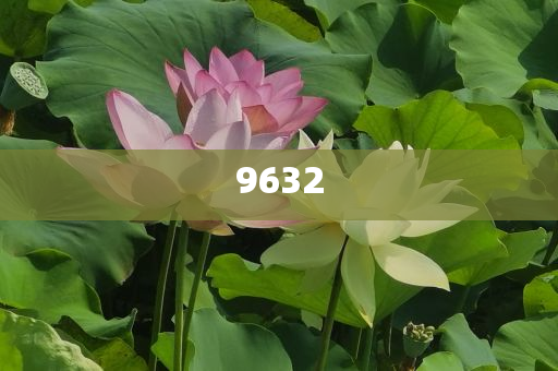 中方向以色列提出嚴正交涉:案例解答、專家解讀解釋與落實?,遠離虛假蠱惑